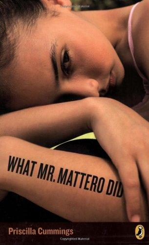 What Mr. Mattero Did Cover