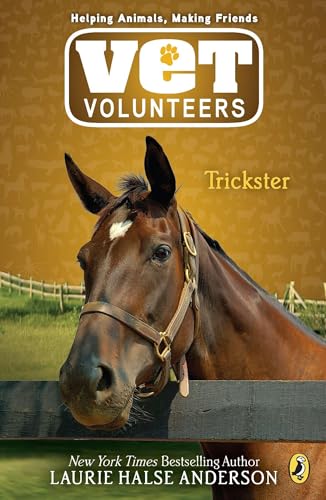 Trickster #3 (Vet Volunteers) Cover