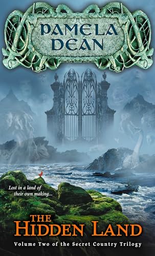 The hidden land Cover