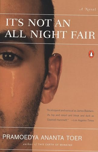 It's not an all night fair Cover