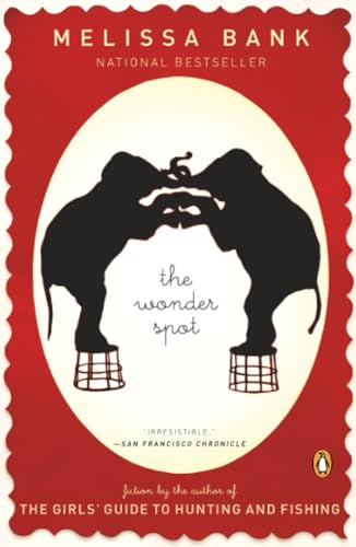 The Wonder Spot Cover