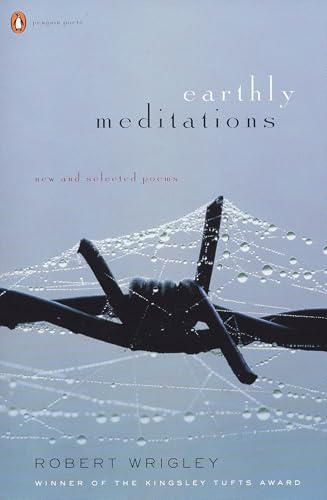 Earthly Meditations Cover