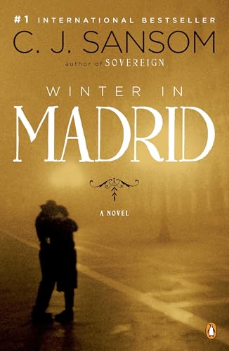 Winter in Madrid Cover