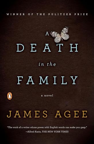 A Death in the Family: A Novel Cover