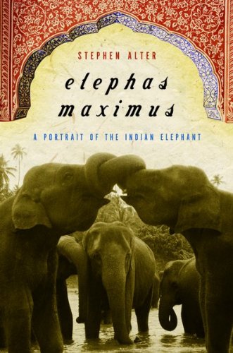 Elephas maximas Cover