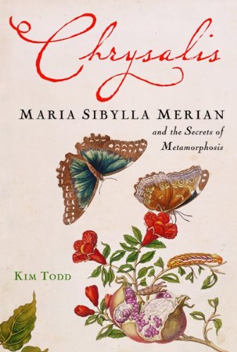 Chrysalis Cover