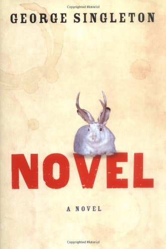Novel Cover
