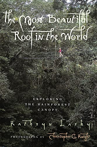 The most beautiful roof in the world Cover