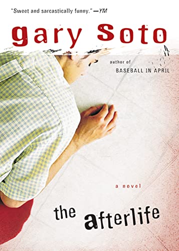 The afterlife Cover