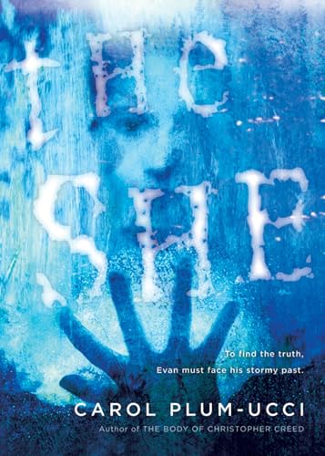 The She: A Chilling Young Adult Mystery About a Mother's Disappearance at Sea and Shocking Family Secrets Cover