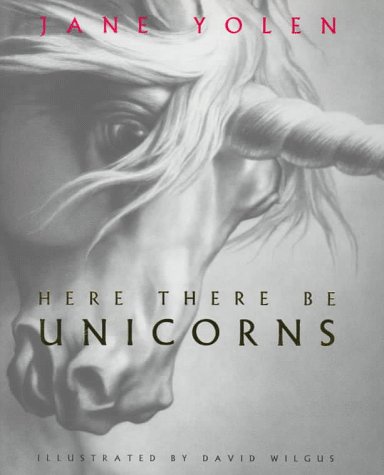 Here there be unicorns Cover