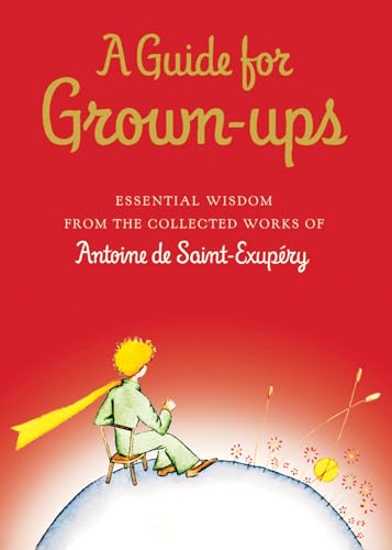 A guide for grown-ups Cover