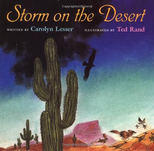 Storm on the desert Cover