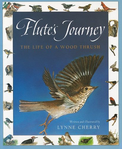 Flute's Journey Cover