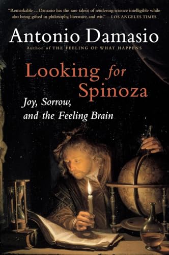 Looking for Spinoza Cover