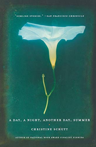 A day, a night, another day, summer Cover
