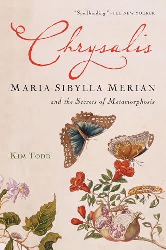Chrysalis Cover