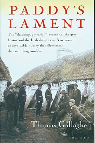 Paddy's lament Cover
