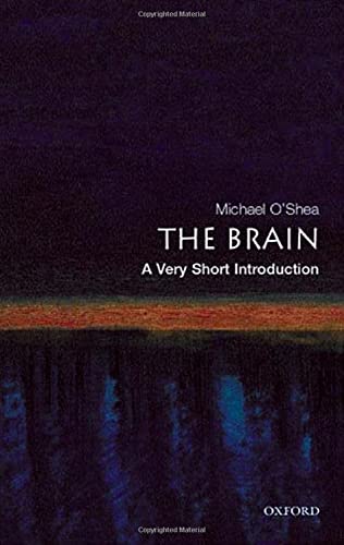 The brain Cover