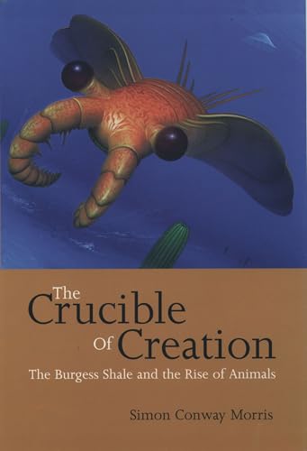 The crucible of creation Cover
