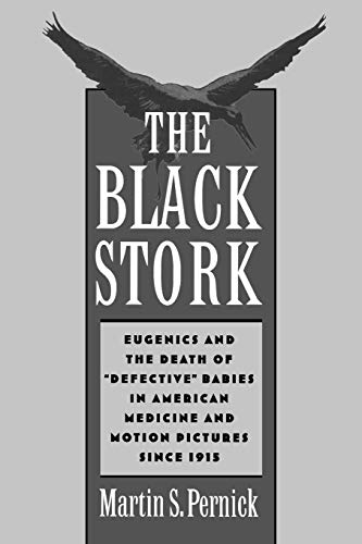 The Black Stork Cover