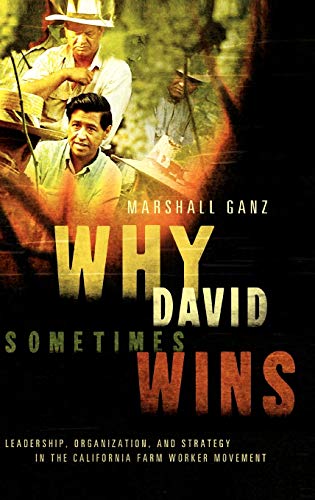 Why David Sometimes Wins Cover