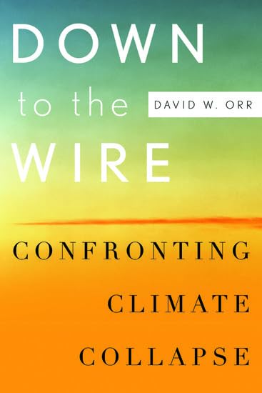 Down to the Wire: Confronting Climate Collapse Cover