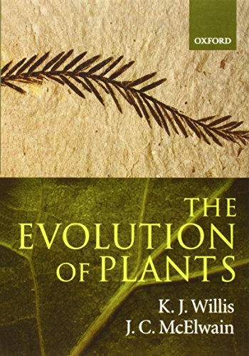 The evolution of plants Cover