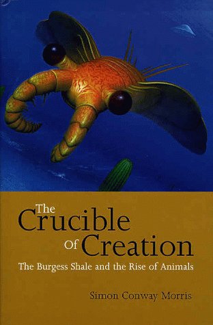 The crucible of creation Cover