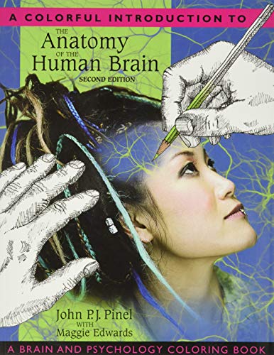 A Colorful Introduction to the Anatomy of the Human Brain Cover