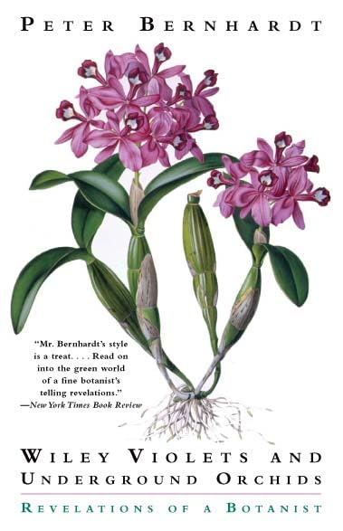 Wily Violets and Underground Orchids Cover