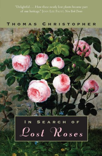 In Search of Lost Roses Poster