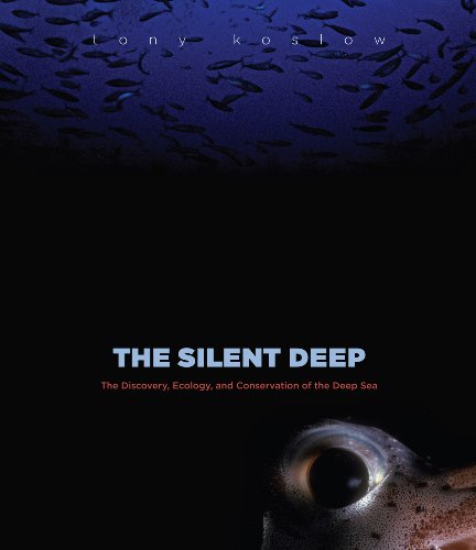 The silent deep Cover