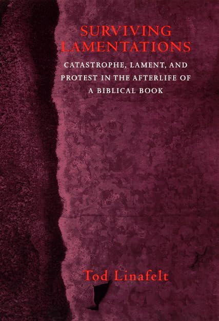 Surviving Lamentations Cover