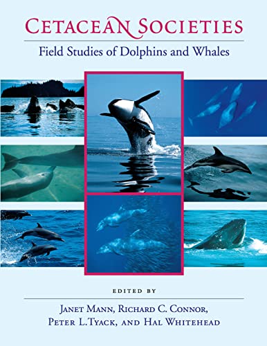 Cetacean societies Cover