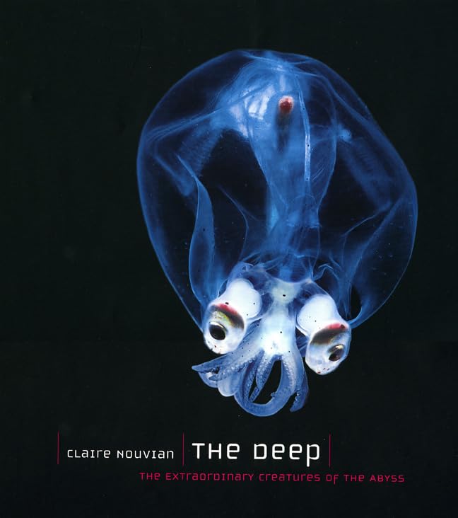 The deep Cover