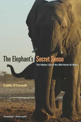 Attempted cover for Book ID: 0226616746