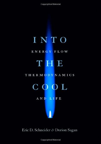 Into the cool Cover