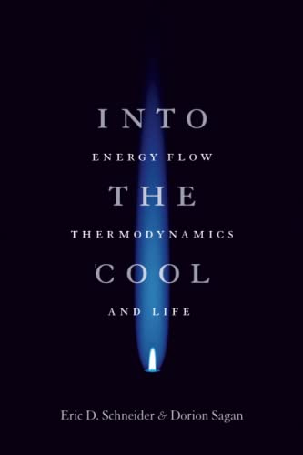 Into the Cool Cover
