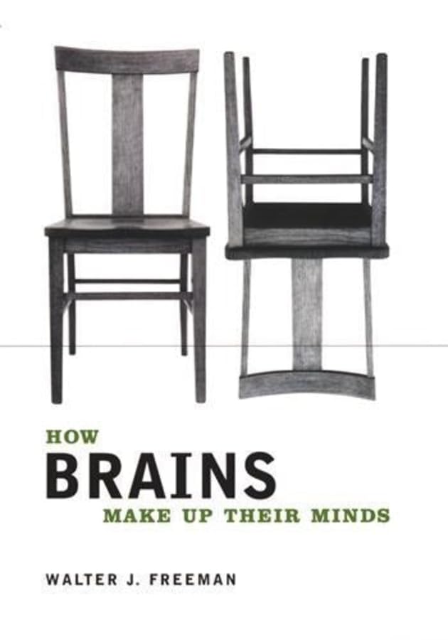 How brains make up their minds Cover