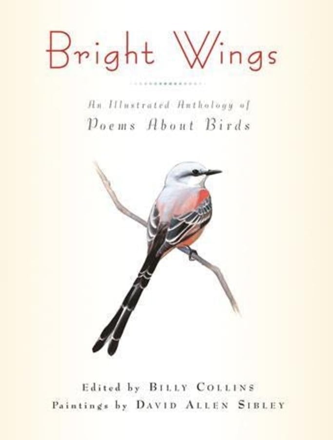 Bright wings Cover