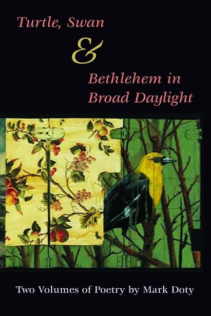 Turtle, Swan and Bethlehem in Broad Daylight Cover