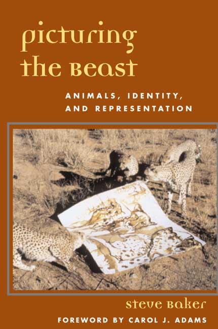 Picturing the beast Cover