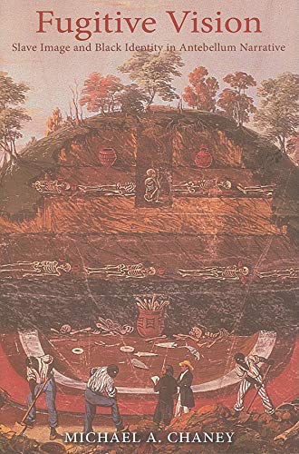 Fugitive Vision Cover
