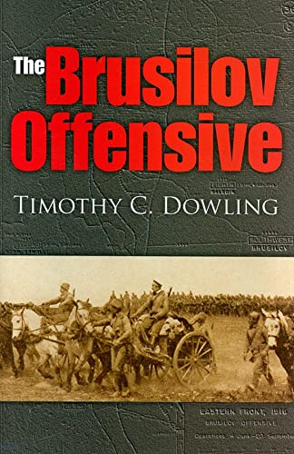 The Brusilov Offensive (Twentieth-Century Battles) Cover