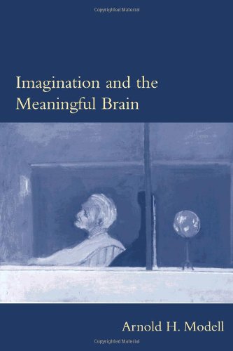 Imagination and the Meaningful Brain (Philosophical Psychopathology) Cover