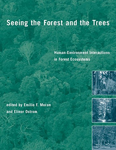 Seeing the forest and the trees Cover