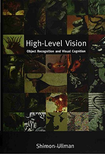 High-level vision Cover