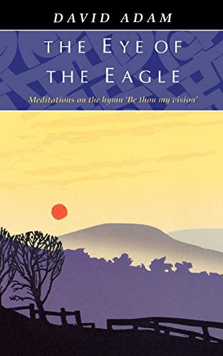 The eye of the eagle Cover