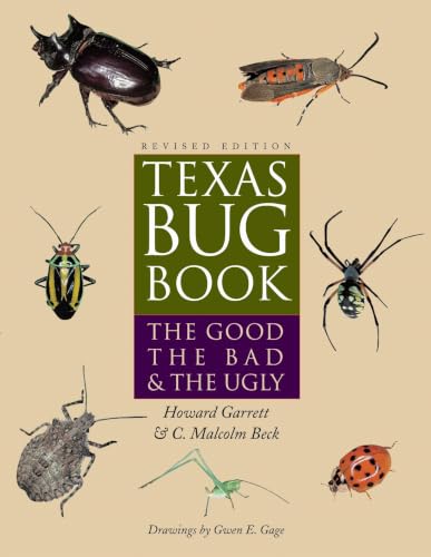 Texas Bug Book Cover